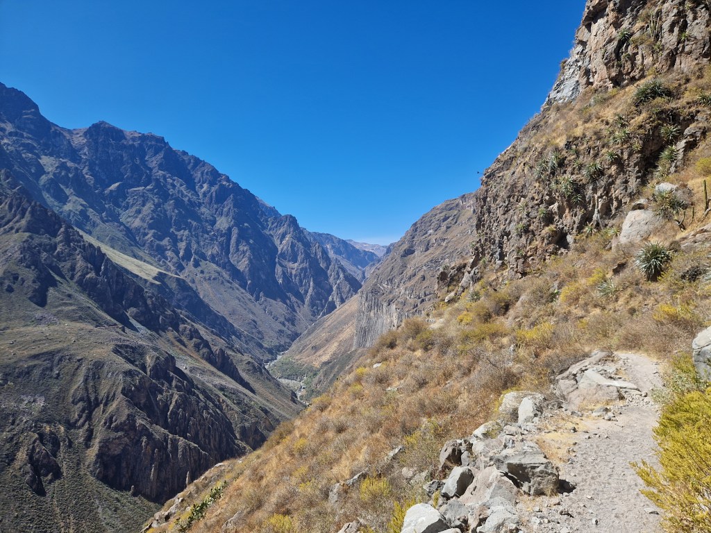 Peru’s Colca Canyon: The Hike Which Defied&nbsp;Logic