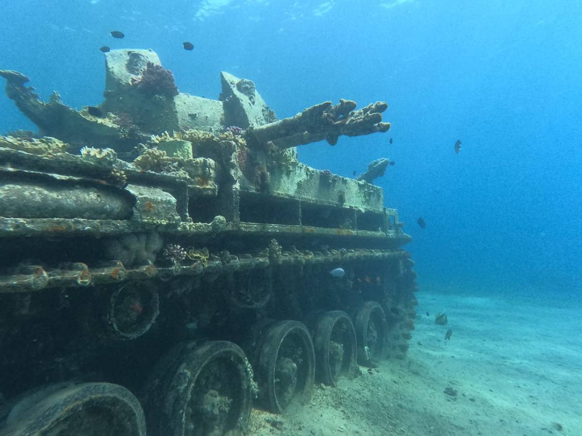Stillness Below The Storm: Diving in Jordan’s Red&nbsp;Sea