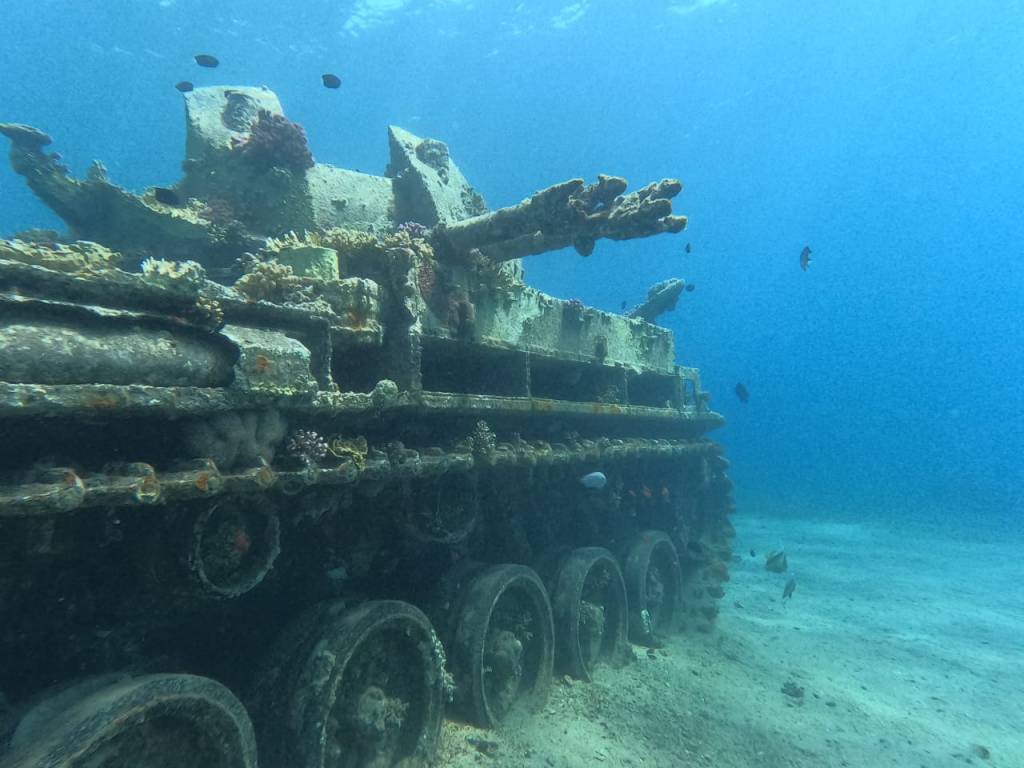 Stillness Below The Storm: Diving in Jordan’s Red&nbsp;Sea